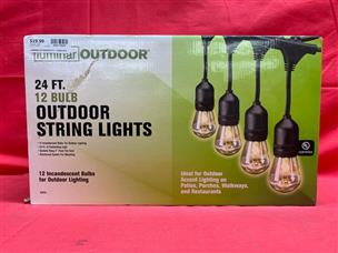 LUMINAR OUTDOOR 24' 12-Bulb Outdoor String Lights, Black